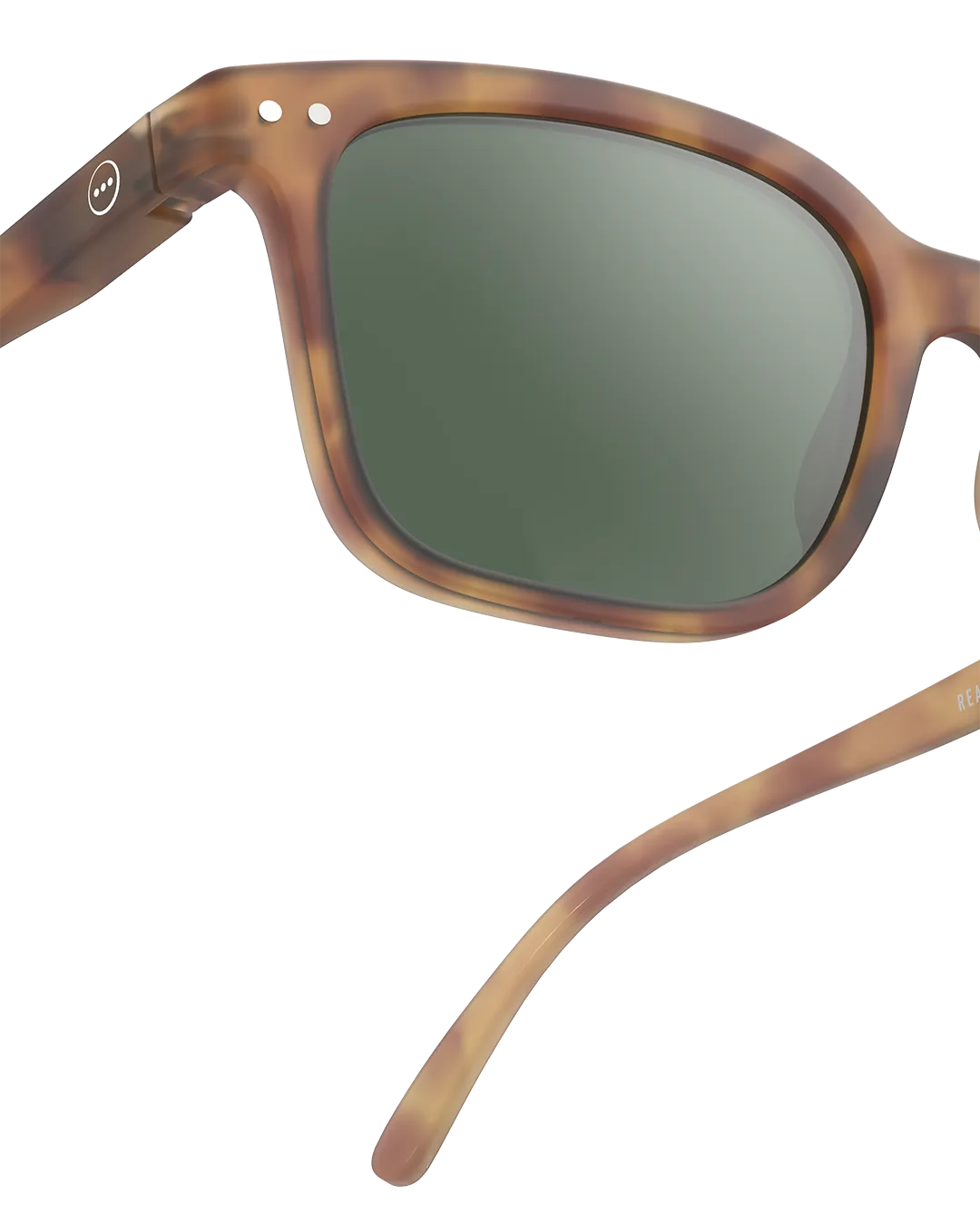 Adult Sunglasses | #L Havane